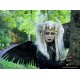 Collier camée chaines argenté witch Spiky skullbird Barbie Goth